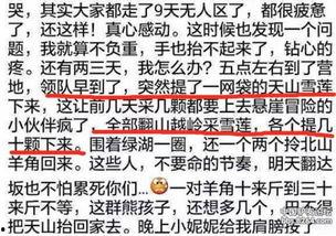 爆料雪莲的视频,视频爆料背后的惊人真相 第1张 爆料雪莲的视频,视频爆料背后的惊人真相 第1张